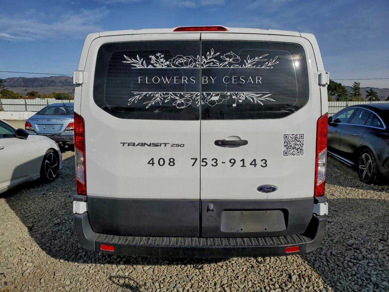 2022 Ford Transit T-250 Delivery Van