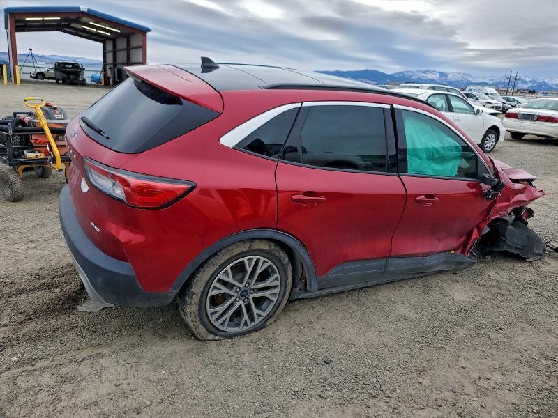 2022 Ford Escape sel