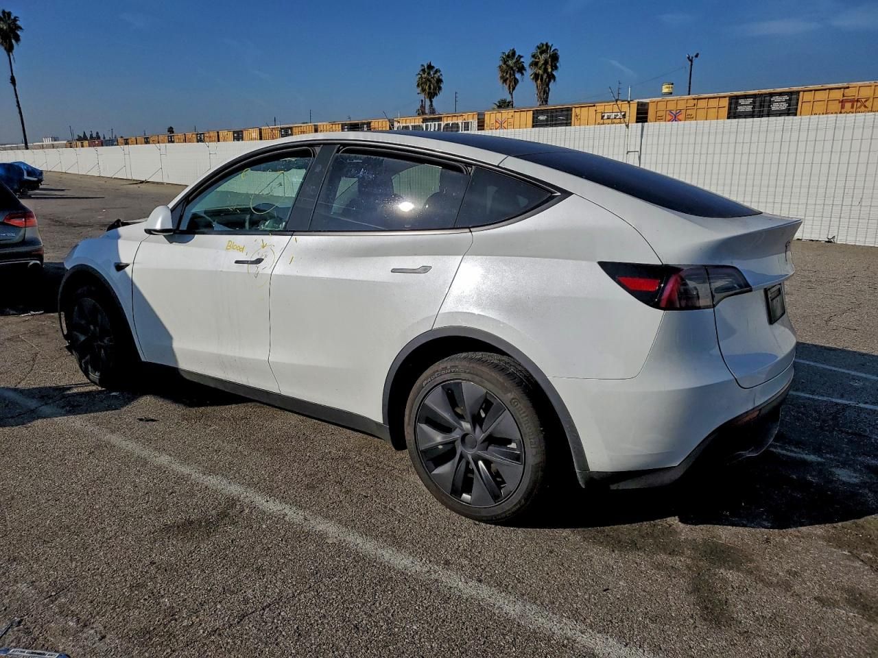 2025 Tesla Model y
