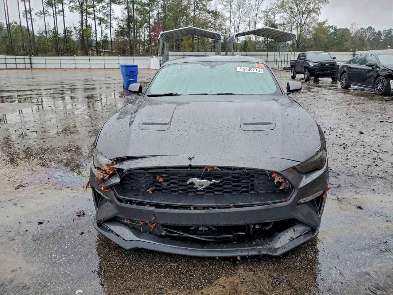 2019 Ford Mustang
