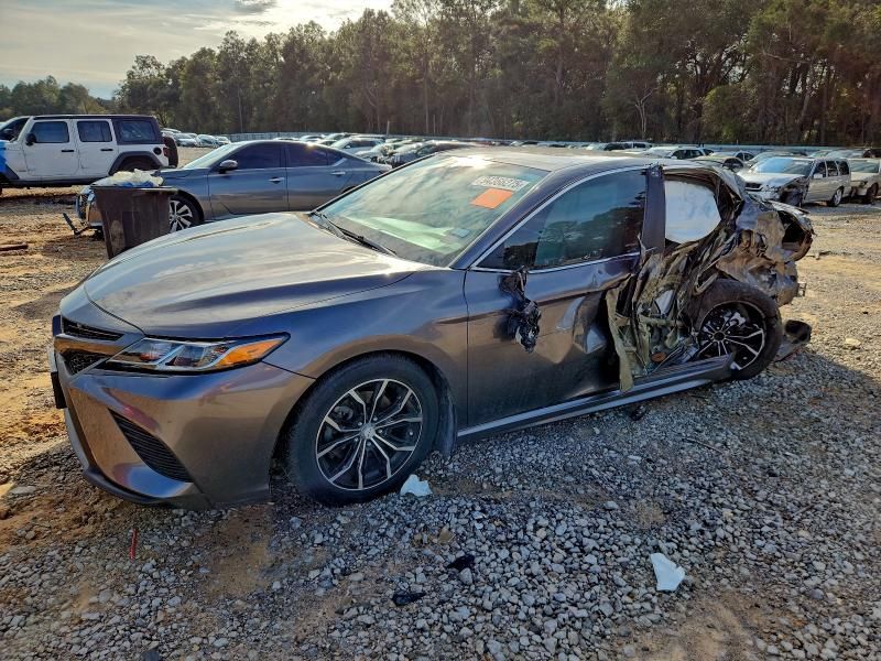 2019 Toyota Camry l
