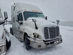 2014 Freightliner Cascadia 125
