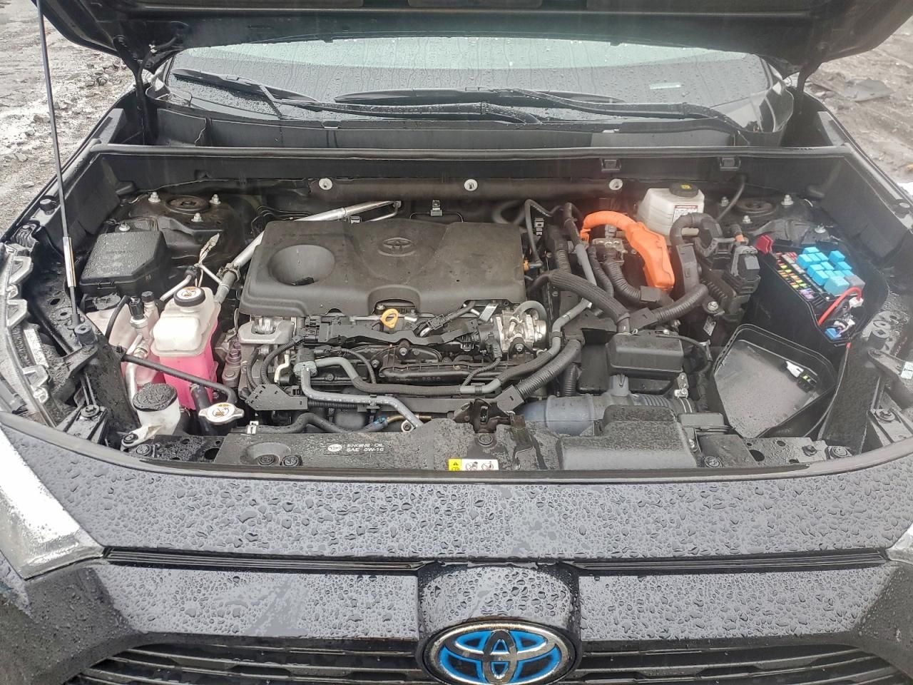 2024 Toyota Rav4 Woodland Edition