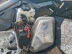 2019 Skidoo MXZ 600 Snowmobile