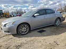 Niss Maxima salvage cars for sale: 2009 Niss Maxima 3.5 s