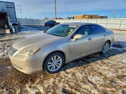 Lexus salvage cars for sale: 2011 Lexus Es 350