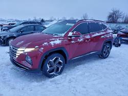 Hyundai salvage cars for sale: 2023 Hyundai Tucson Luxury