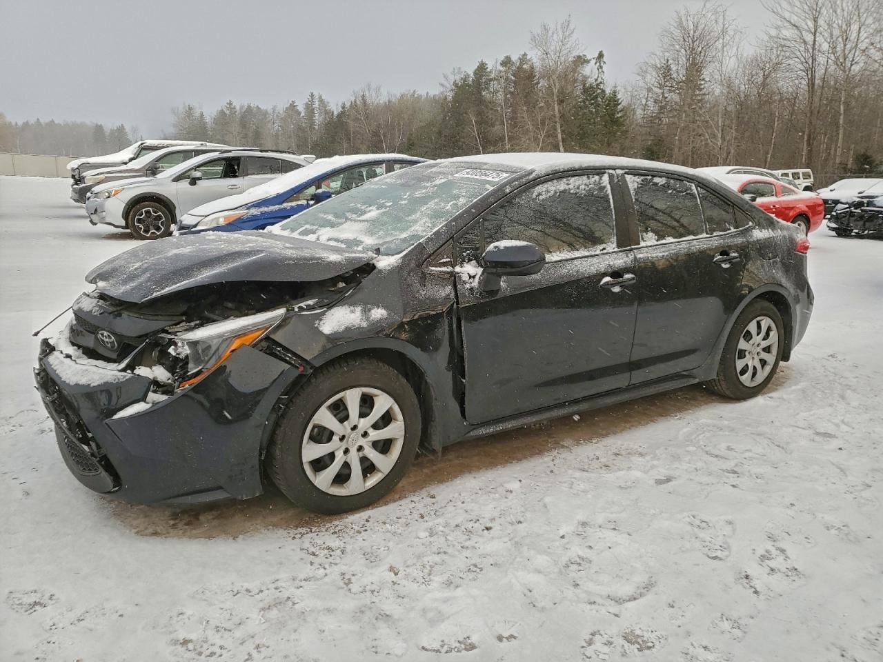 2020 Toyota Corolla le