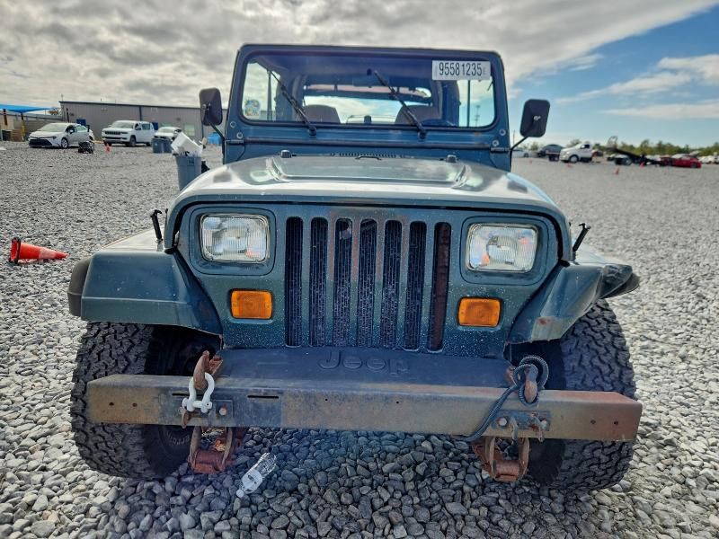 1993 Jeep Wrangler / yj