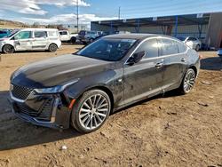 Cadillac salvage cars for sale: 2024 Cadillac CT5 Premium Luxury