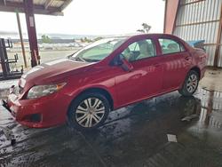 2010 Toyota Corolla Base for sale in American Canyon, CA