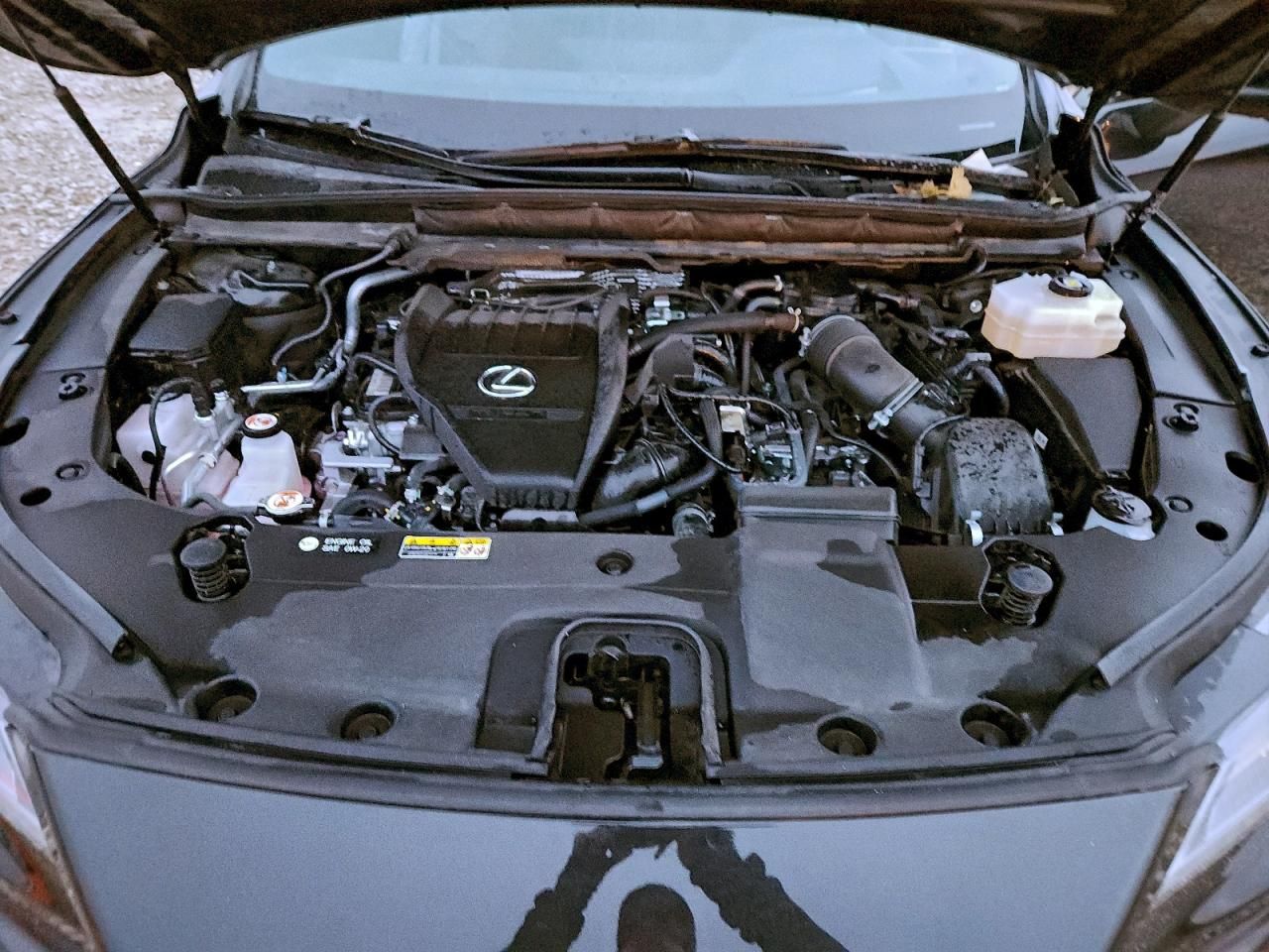 2023 Lexus Rx 500h f Sport