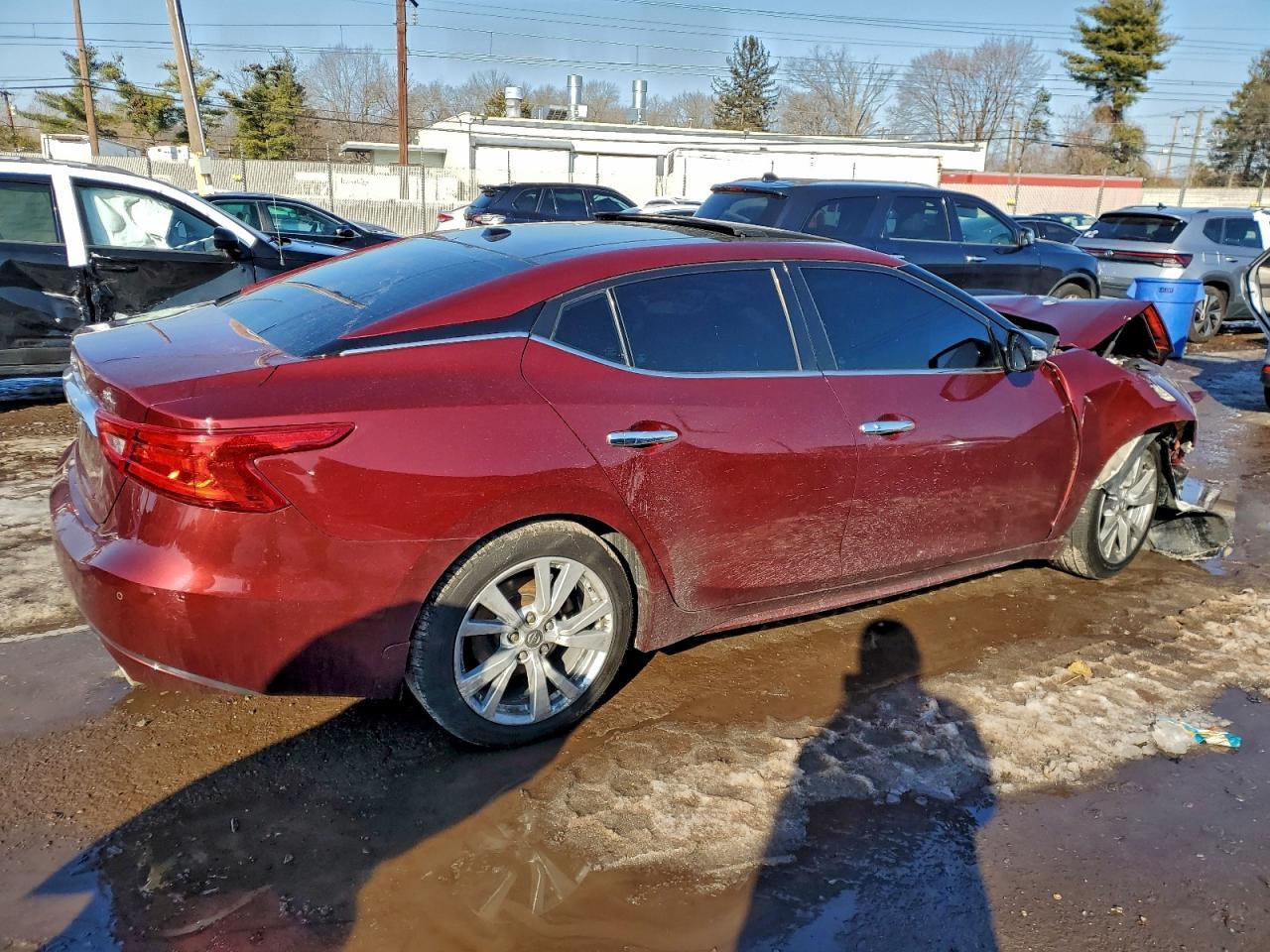 2017 Niss Maxima 3.5 sl