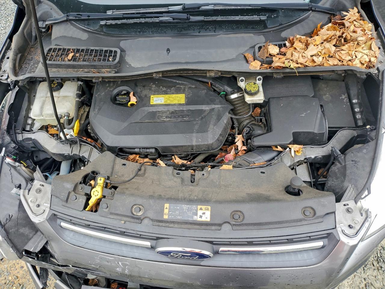 2014 Ford Escape se