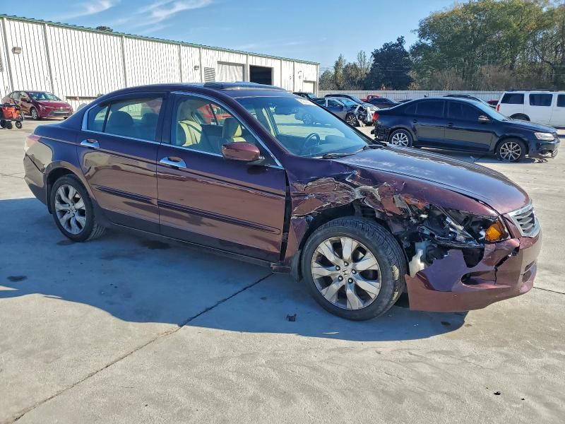 2010 Honda Accord exl