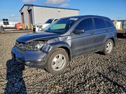 Honda Vehiculos salvage en venta: 2010 Honda Cr-v lx