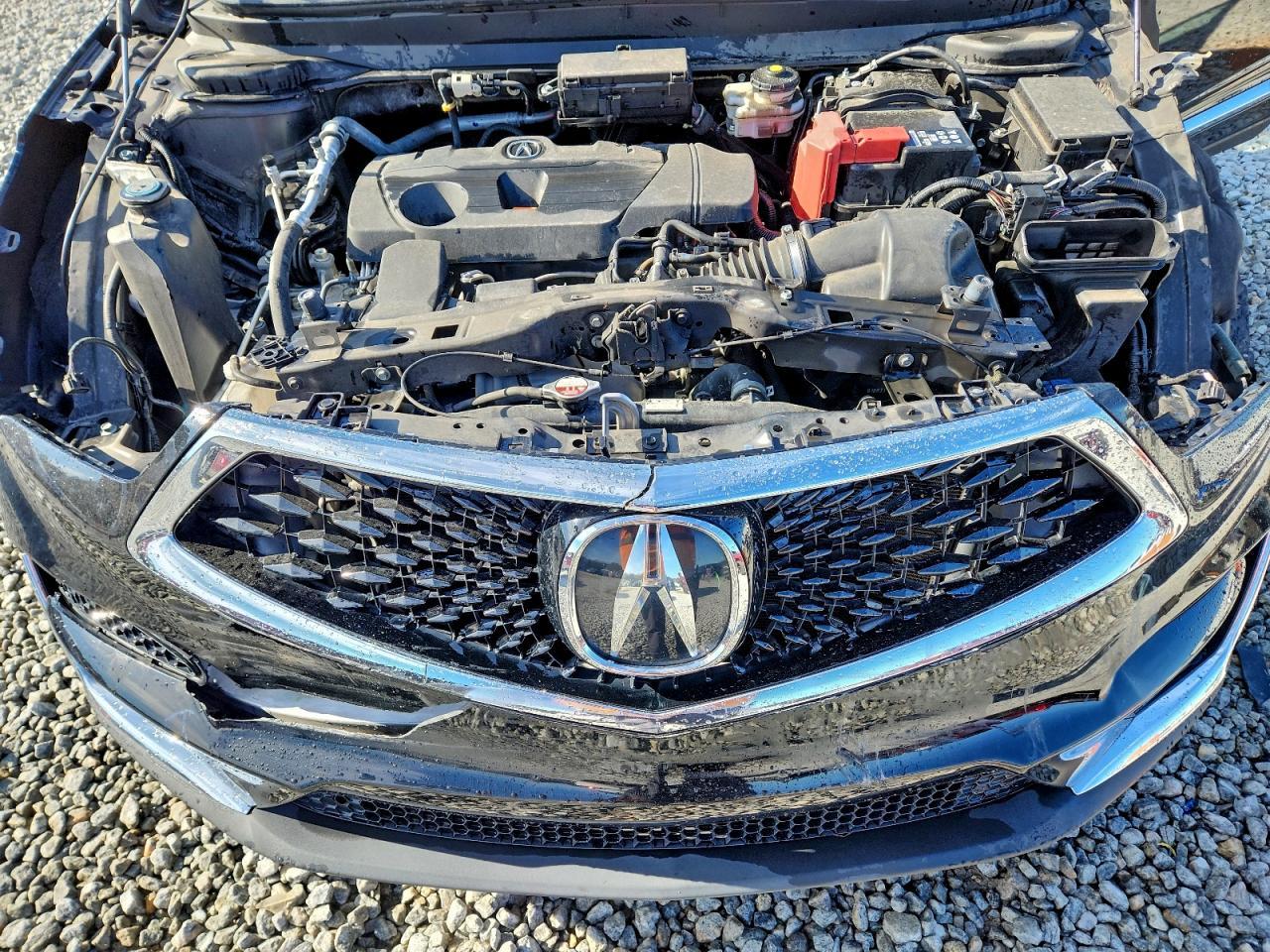 2019 Acura Rdx Technology
