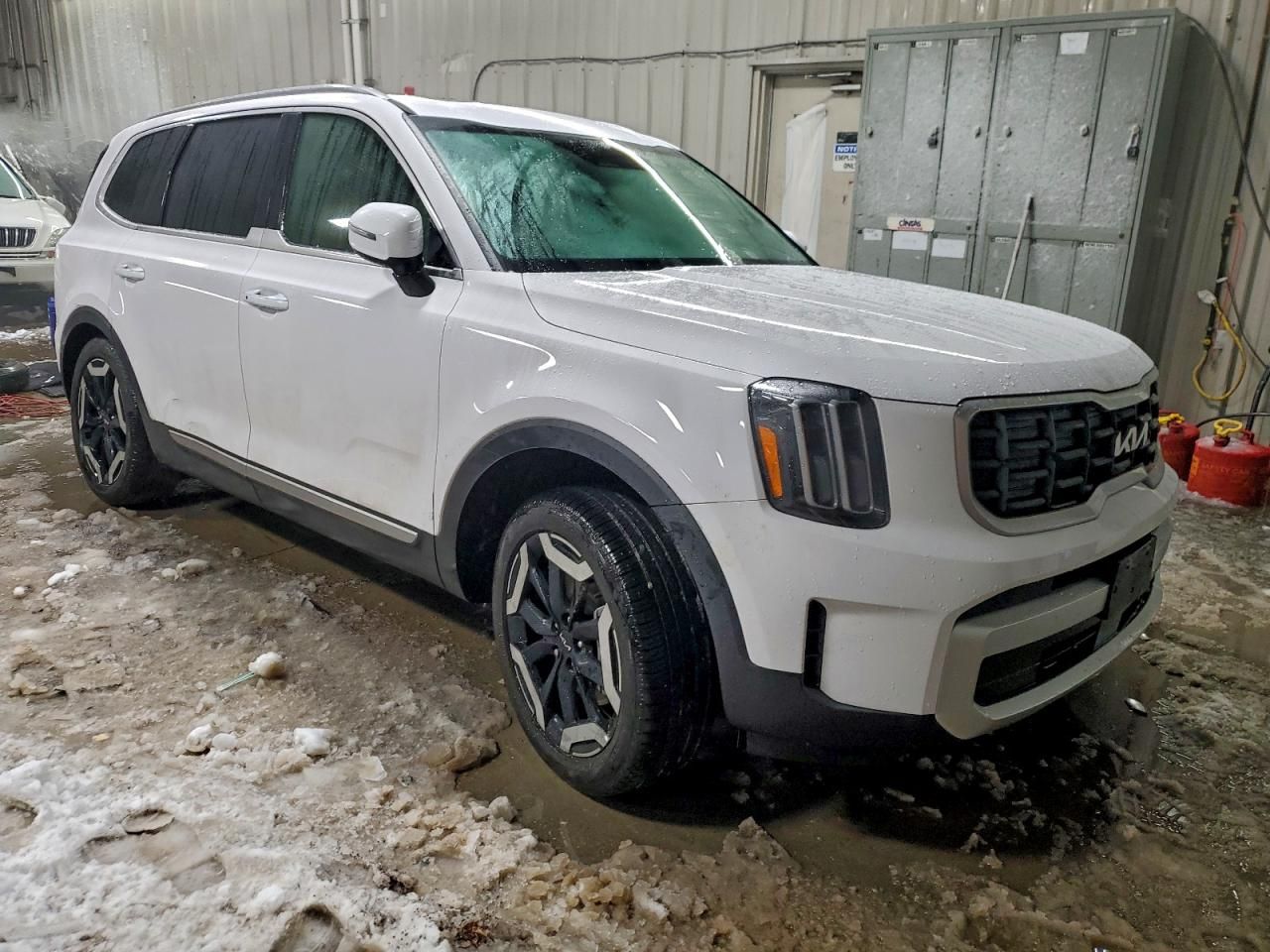 2025 KIA Telluride s
