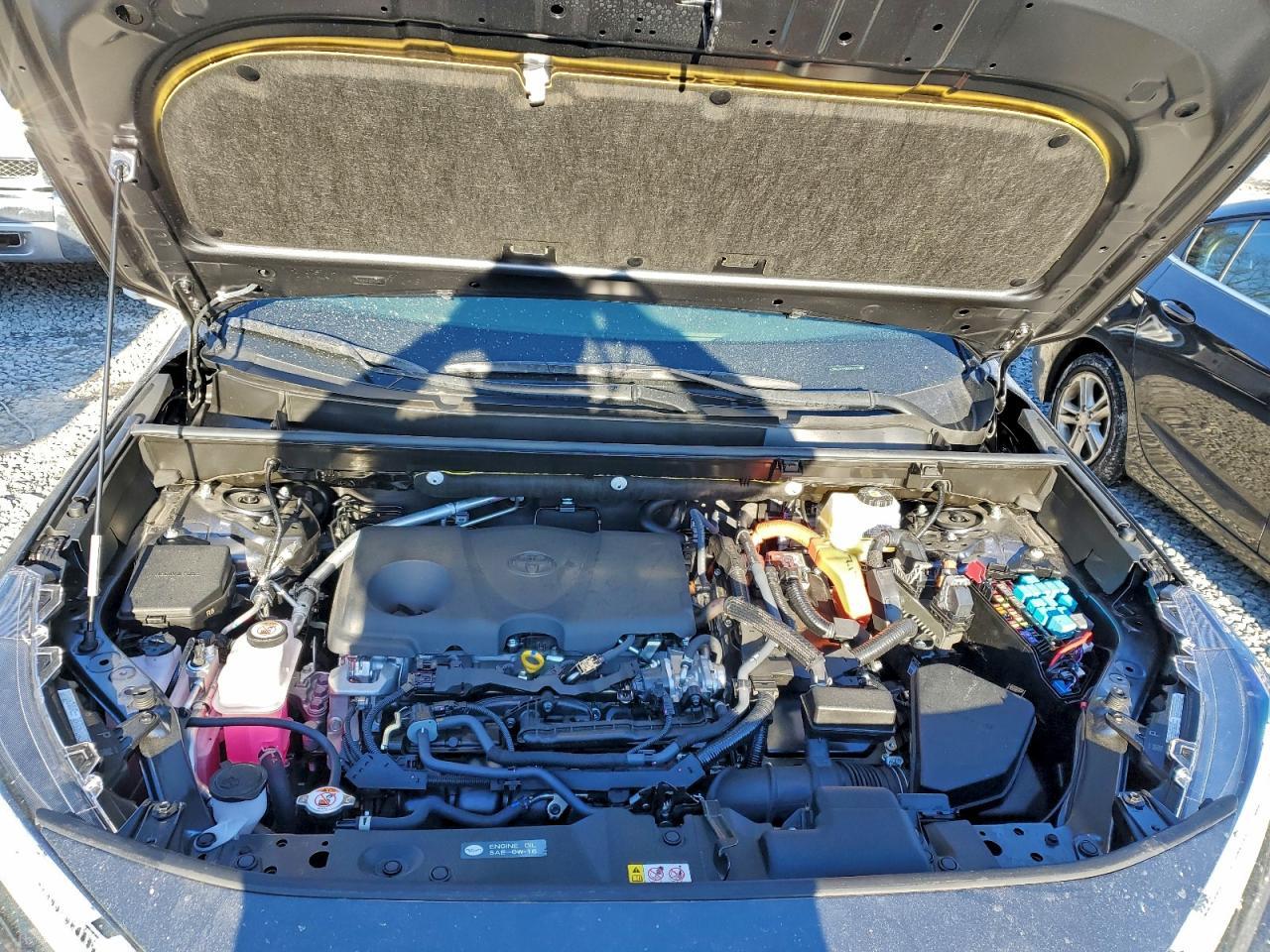 2025 Toyota Rav4 xse
