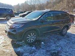 Salvage cars for sale from Copart Marlboro, NY: 2021 Honda Pilot exl