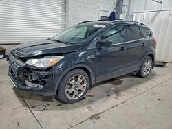 Salvage cars for sale from Copart Ham Lake, MN: 2014 Ford Escape se