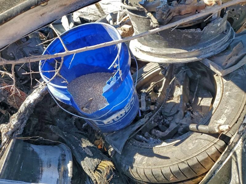 2014 Infiniti Q50 Base