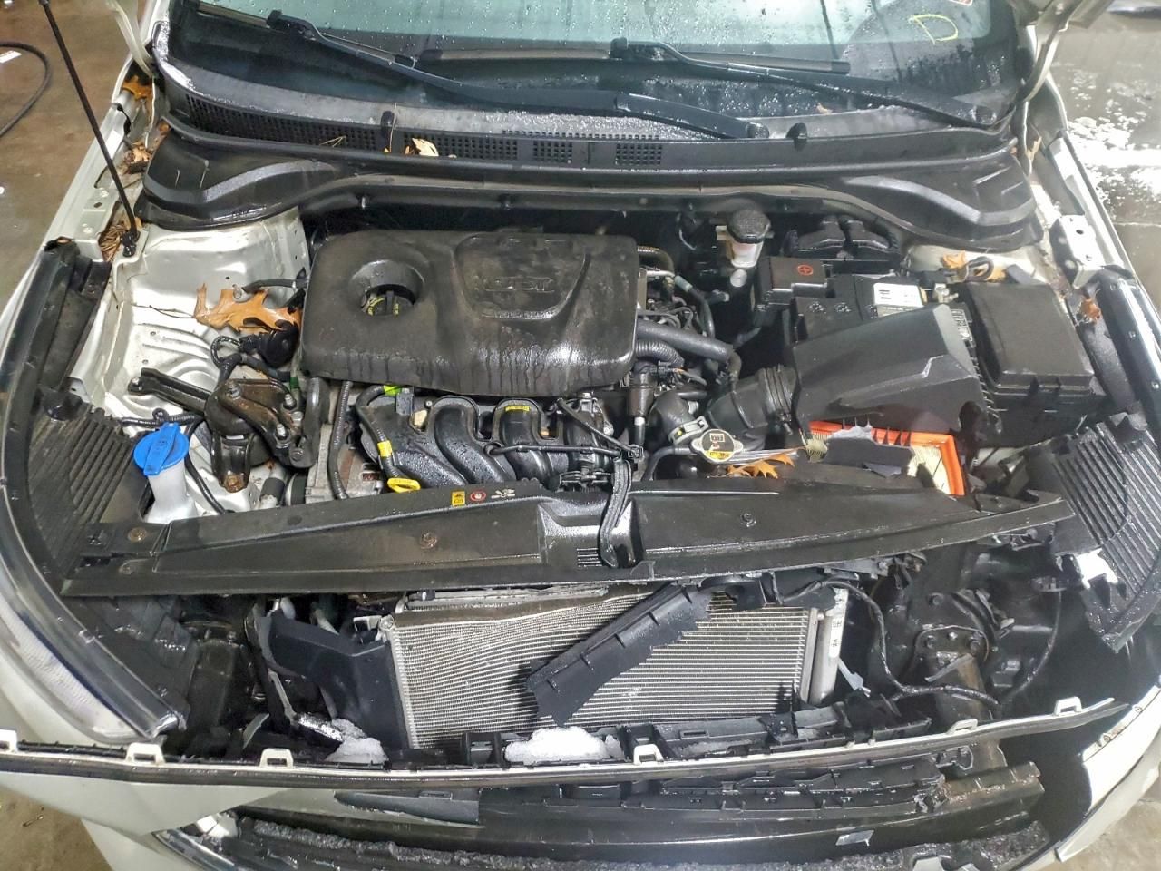 2019 Hyundai Accent se