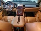 2010 Cadillac Escalade Premium