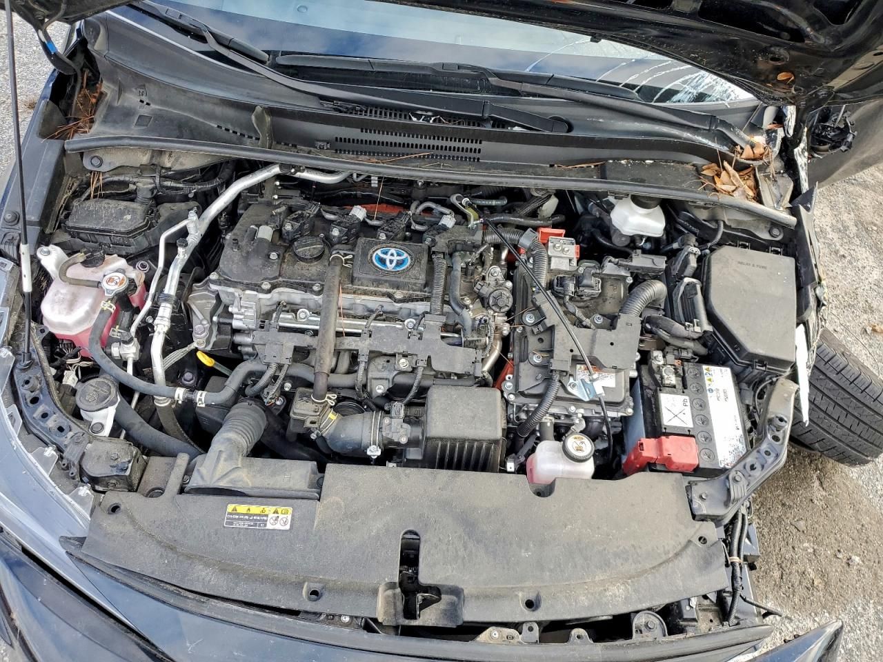 2023 Toyota Corolla le