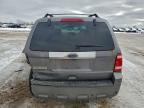 2010 Ford Escape Limited