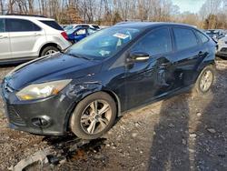 2014 Ford Focus se for sale in Chalfont, PA