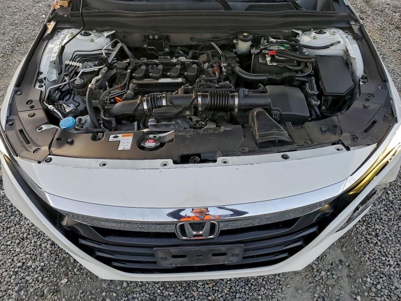 2019 Honda Accord lx