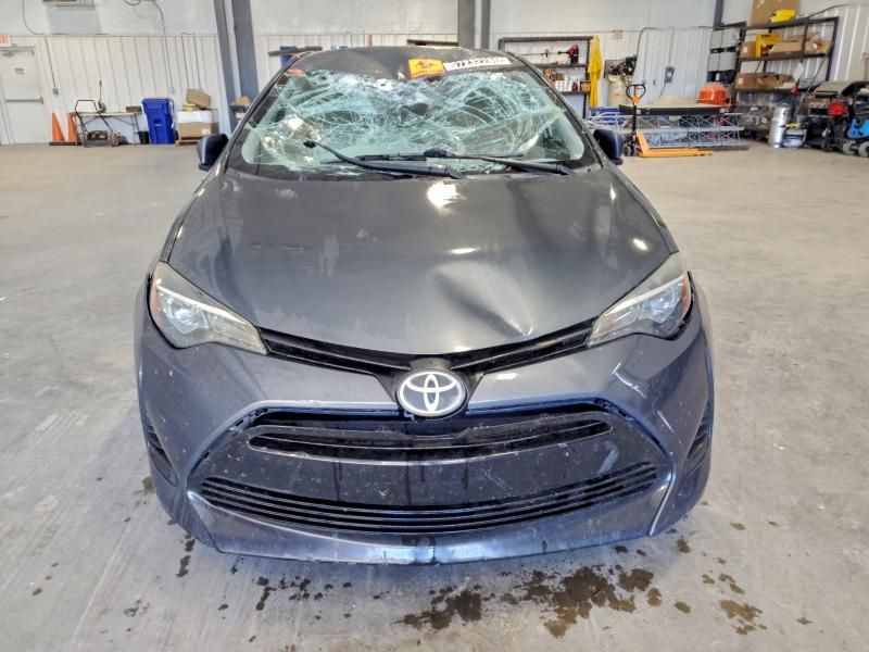 2019 Toyota Corolla l