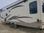 2017 Other Palomino F