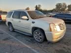2007 Cadillac Escalade Luxury