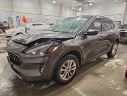 Salvage cars for sale from Copart Wayland, MI: 2020 Ford Escape se