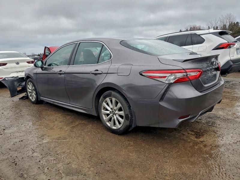 2019 Toyota Camry l