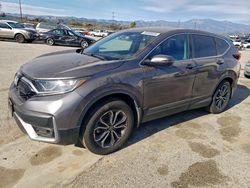 2021 Honda Cr-v ex en venta en Van Nuys, CA