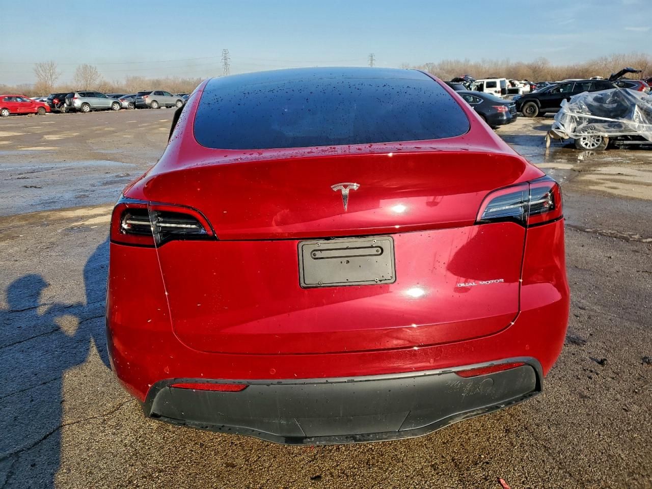 2022 Tesla Model y