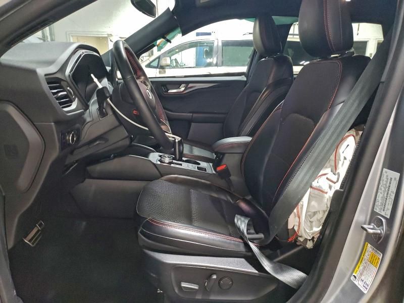 2024 Ford Escape st Line