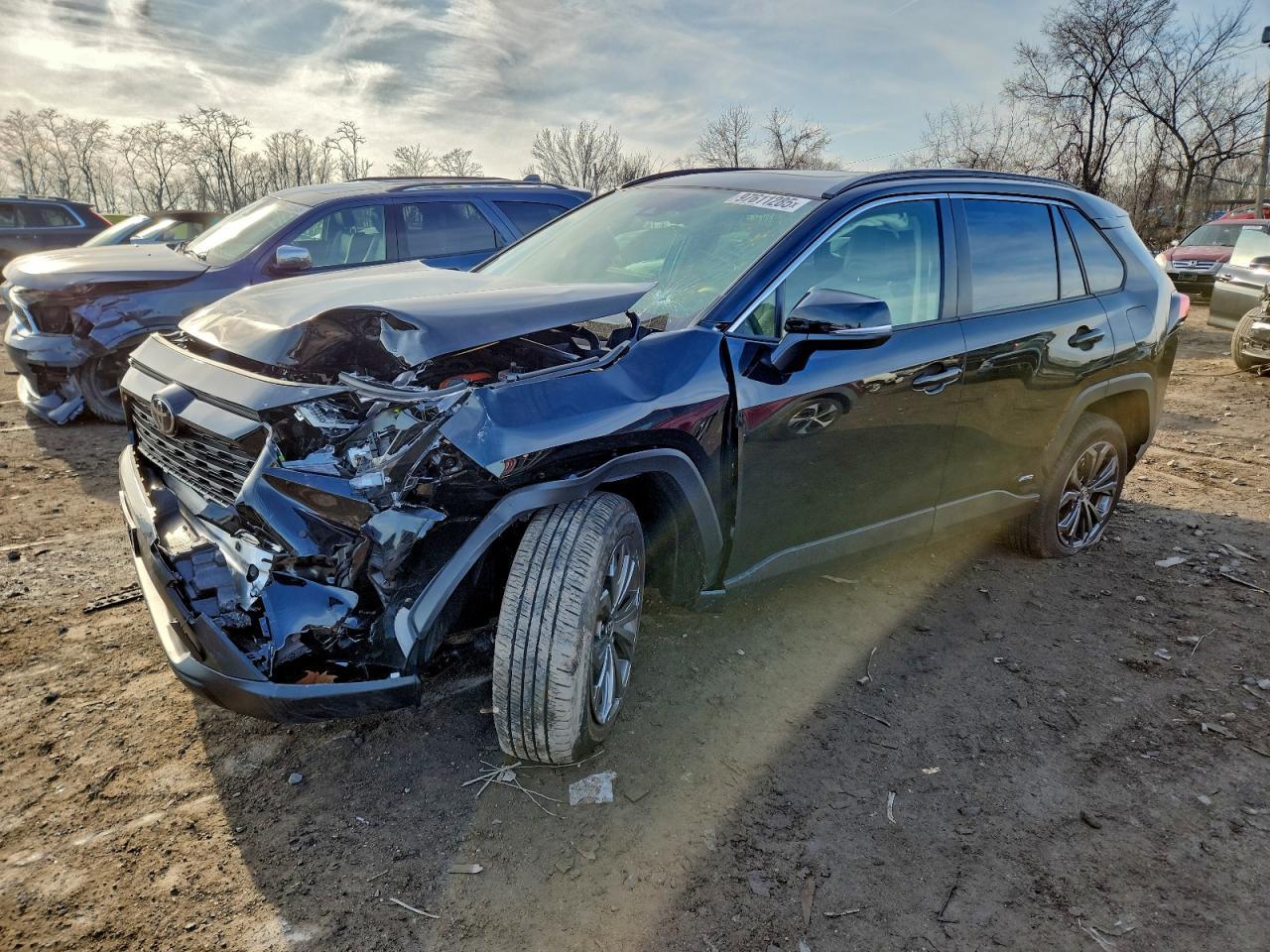 2025 Toyota Rav4 xle Premium
