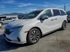 2024 Honda Odyssey exl