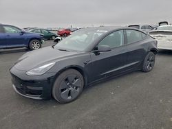 2023 Tesla Model 3 for sale in Martinez, CA