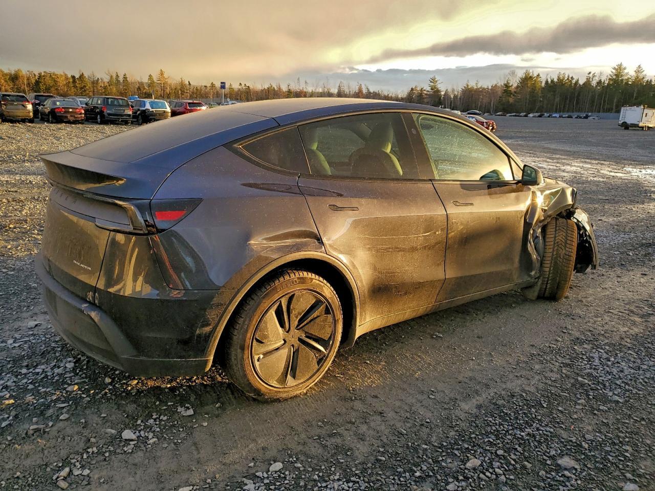 2026 Tesla Model y