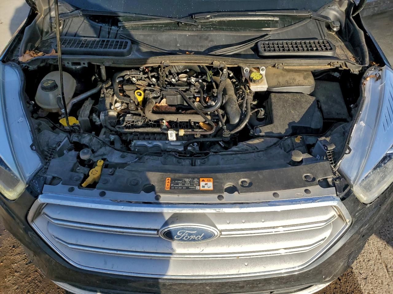 2019 Ford Escape sel