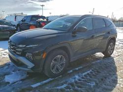 Salvage cars for sale from Copart Indianapolis, IN: 2025 Hyundai Tucson Blue