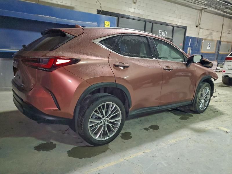 2025 Lexus Nx 350h Base
