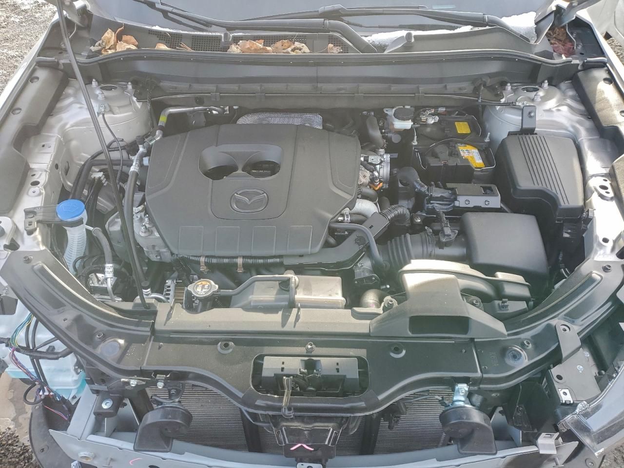 2025 Mazda Cx-5 Premium Plus