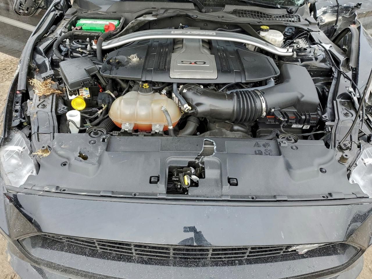 2019 Ford Mustang gt