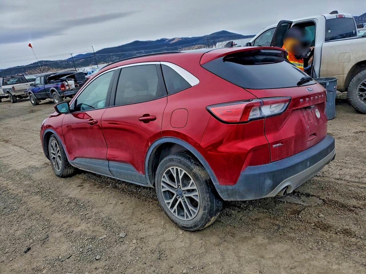 2022 Ford Escape sel